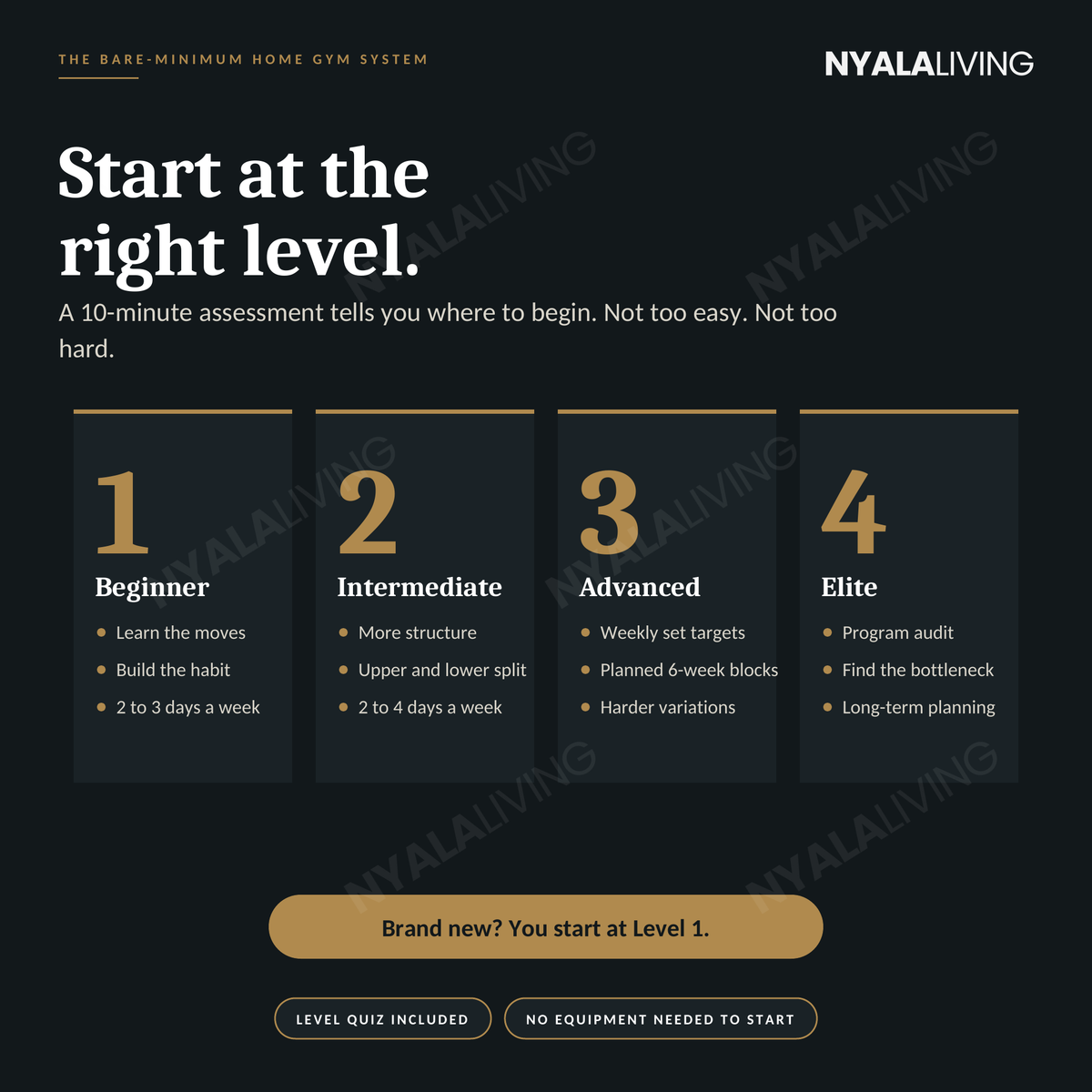 Nyala Living's Bare-Minimum Home Gym System™